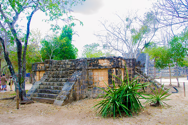 Chichen Itza x Wildlife x Playa del Carmen Chichen Itza x Wildlife x Playa del Carmen