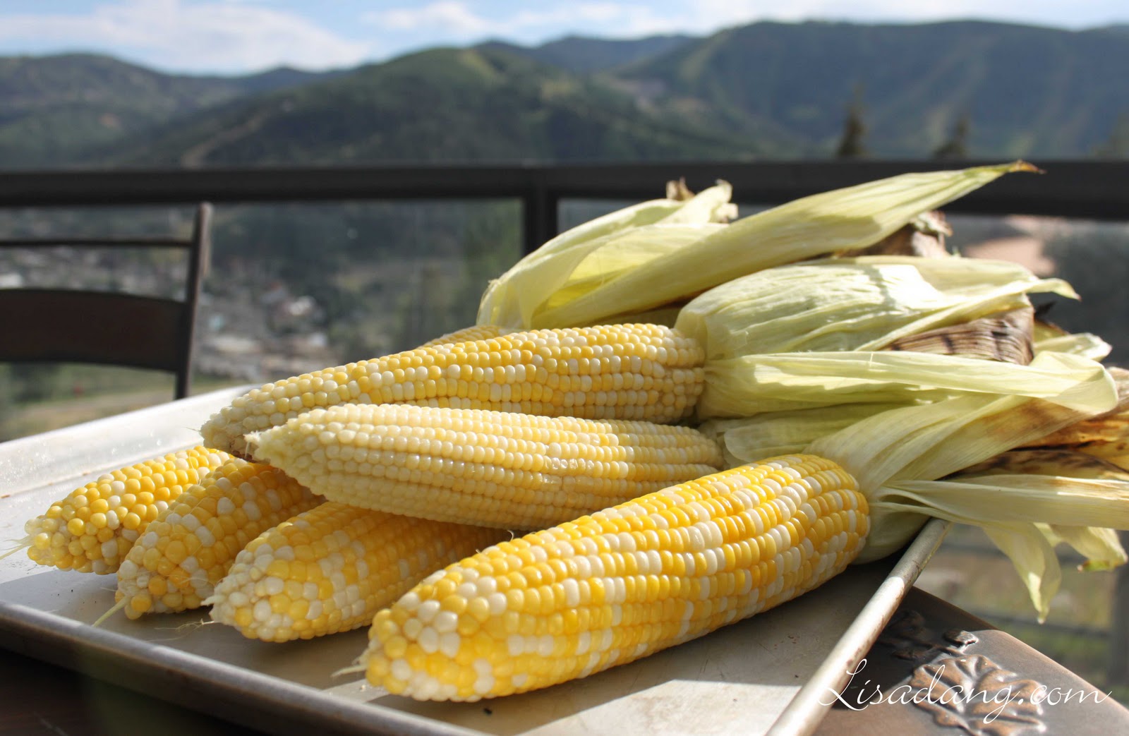 Dang It Delicious Grilling Corn on the Cob on a Gas Grill