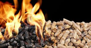Biomassa, Energia Inteligente