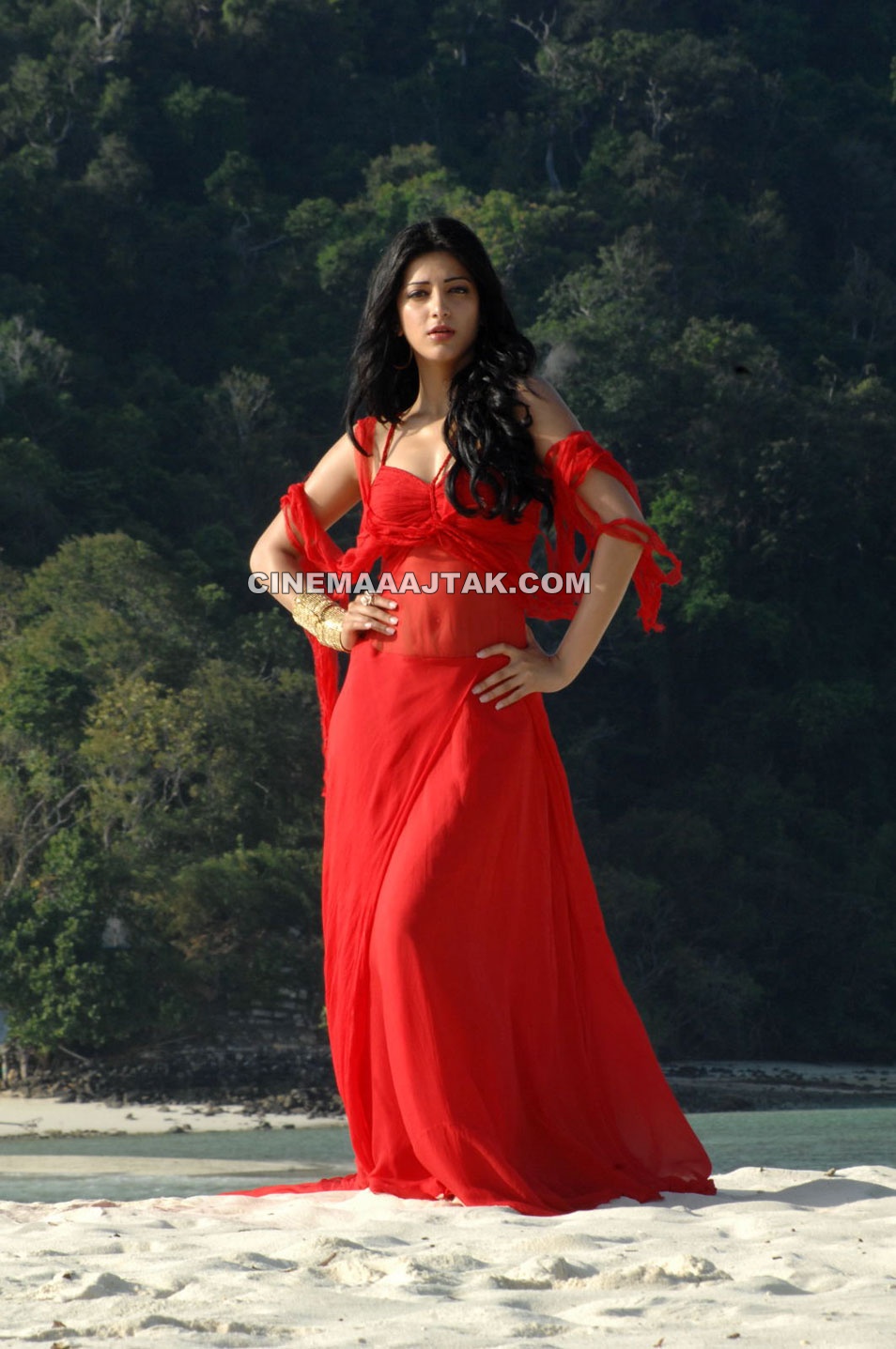 Shruti Haasan1 - Beautiful Shruti Haasan 7Aum Arivu Red hot Stills