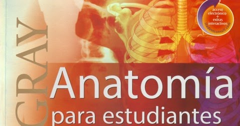Velayos Anatomia De La Cabeza Para Odontologos Pdf Download