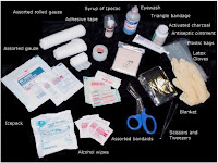 First-aid kit supplies basic first-aid kit
