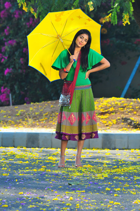 shriya saran traditional saree look photo gallery