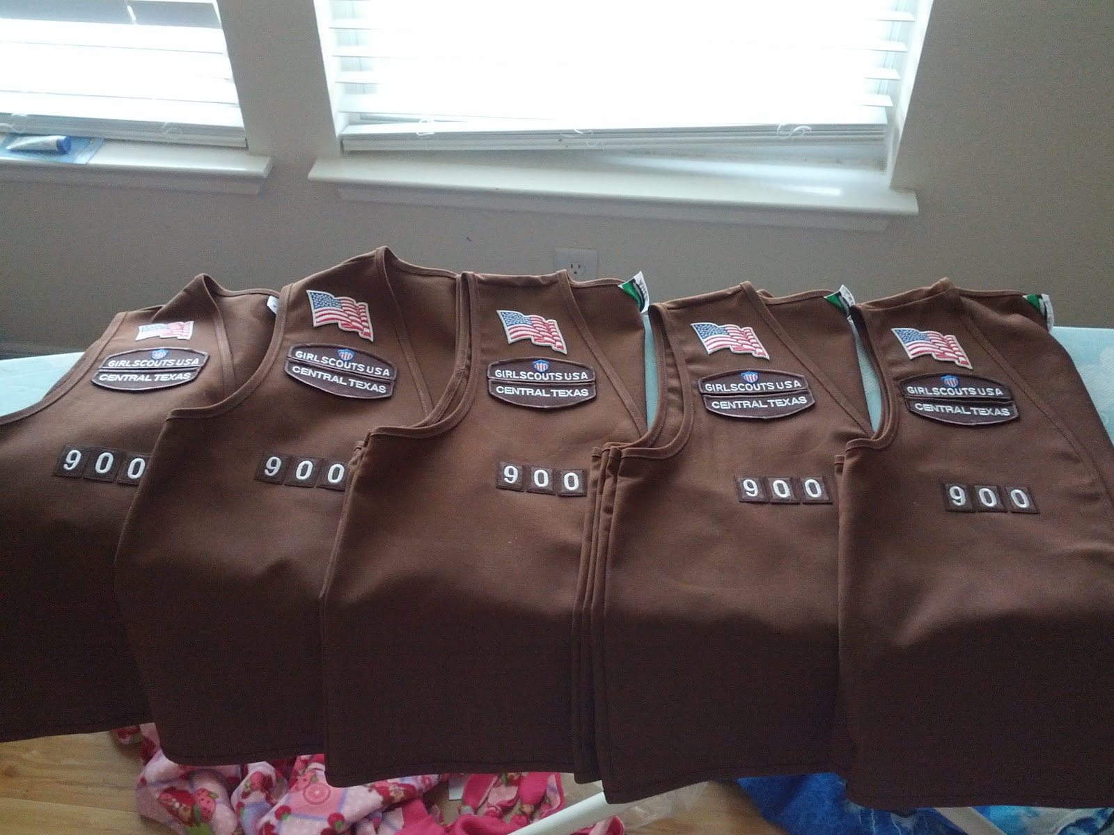 Views from the Porch Bridging to Brownies New Vest New Patches