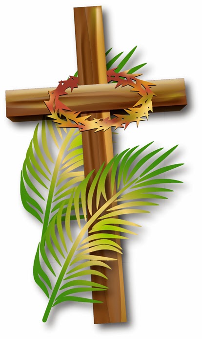The name palm sunday comes from the palm branches the crowd scattered on th...