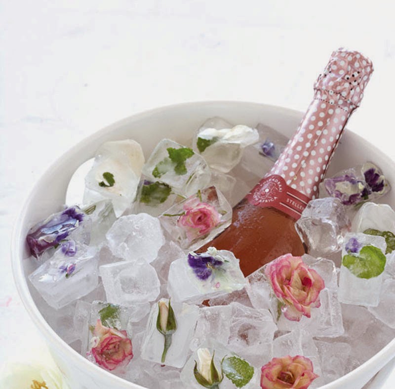 cubitos de hielo con sabores