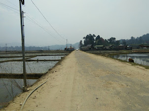 Paddy rice fields in Ziro valley.