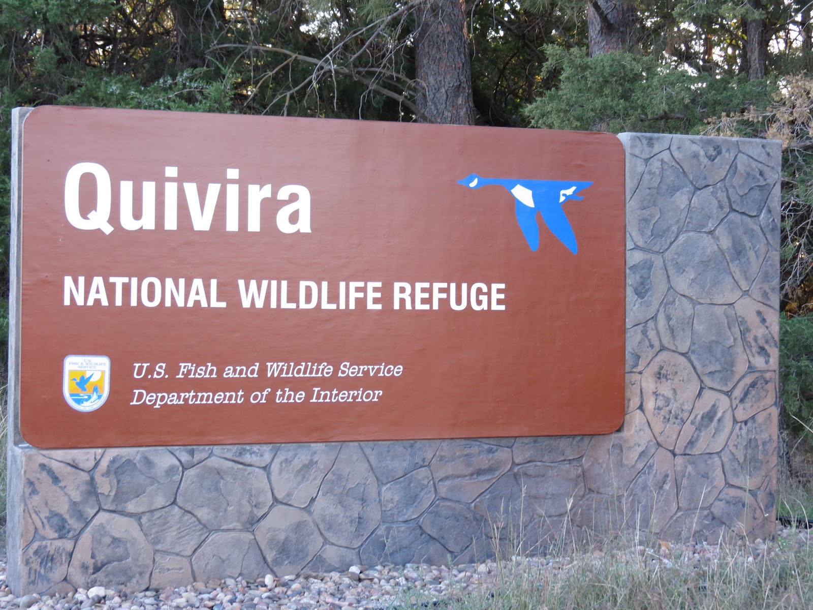 Where's Liz2012? Quivira National Wildlife Refuge, Kansas