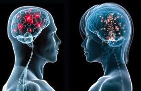 Lafarmaciaentucasa - Las mujeres tienen mas memoria y ellos se orientan mejor Las mujeres tienen mas memoria y ellos se orientan mejor según un estudio