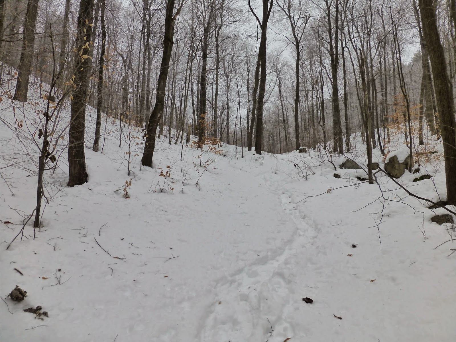 Off on Adventure Rattlesnake Mountain Willsboro, NY 12/21/14