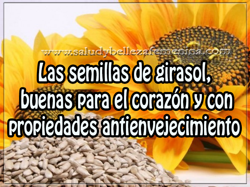 Las semillas de girasol, buenas para el corazón y con propiedades antienvejecimiento Salud y bienestar , las semillas de girasol, buenas para el corazón y con propiedades antienvejecimiento