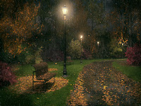 Autumn Night2