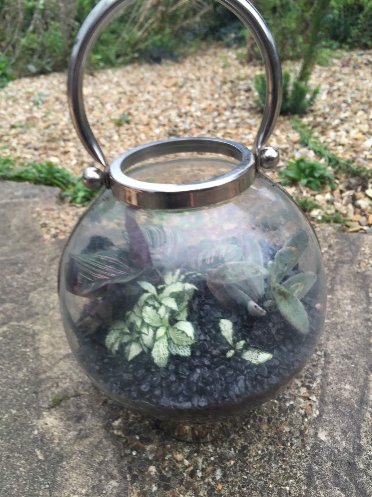 Book Reviews Terrariums, Gardens Under Glass by Maria Colletti