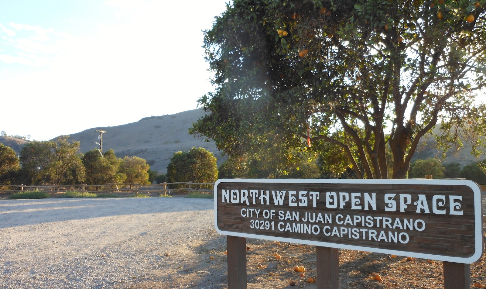 1000 Hikes in 1000 Days Day 656 Northwest Open Space