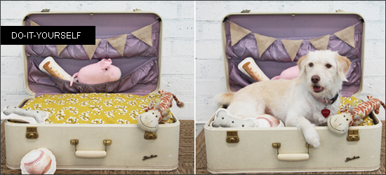 Facile : un panier pour chien dans une valise : Femme Actuelle Le MAG