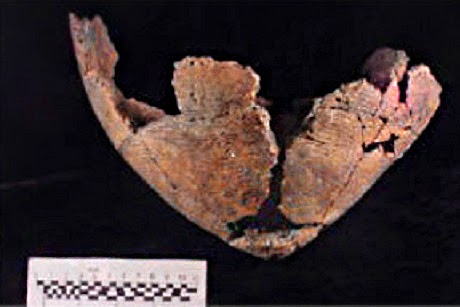 Fishy cooking habits of North American hunter-gatherers revealed Fishy cooking habits of North American hunter-gatherers revealed