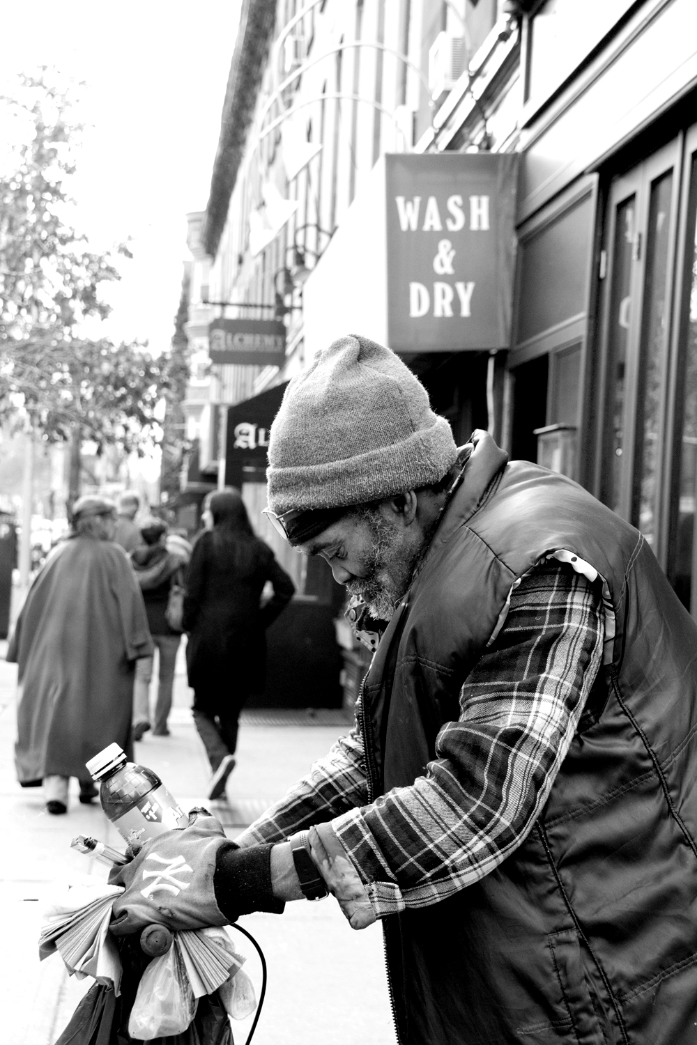Trans Pond Brooklyn Street