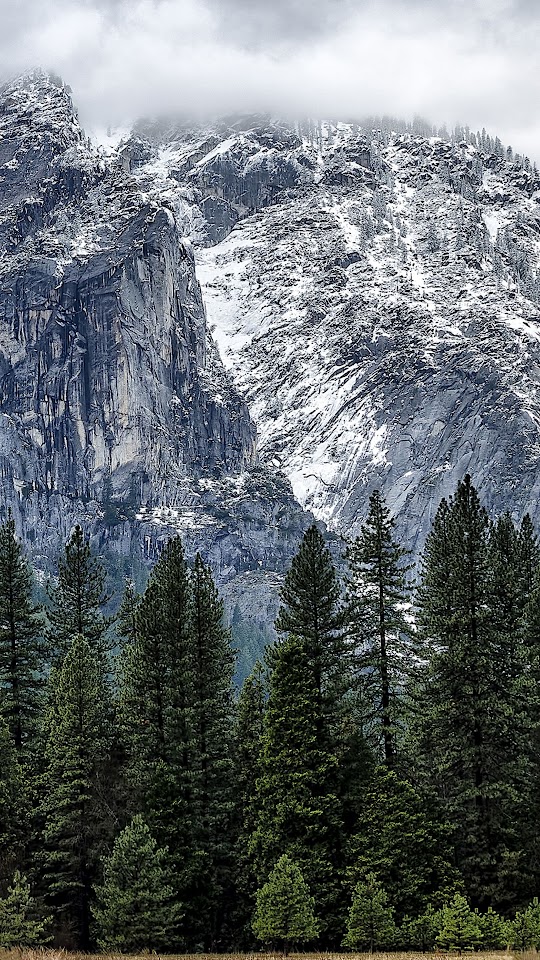Yosemite Mountain Snow Forest  Galaxy Note HD Wallpaper