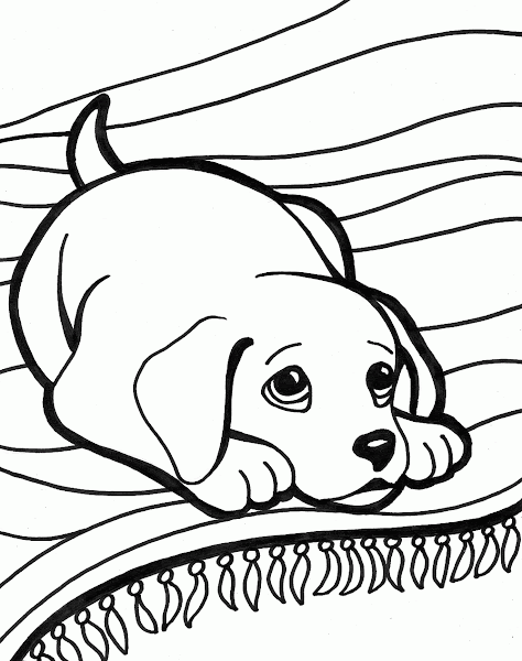 Cute Puppy Dog Coloring Pages