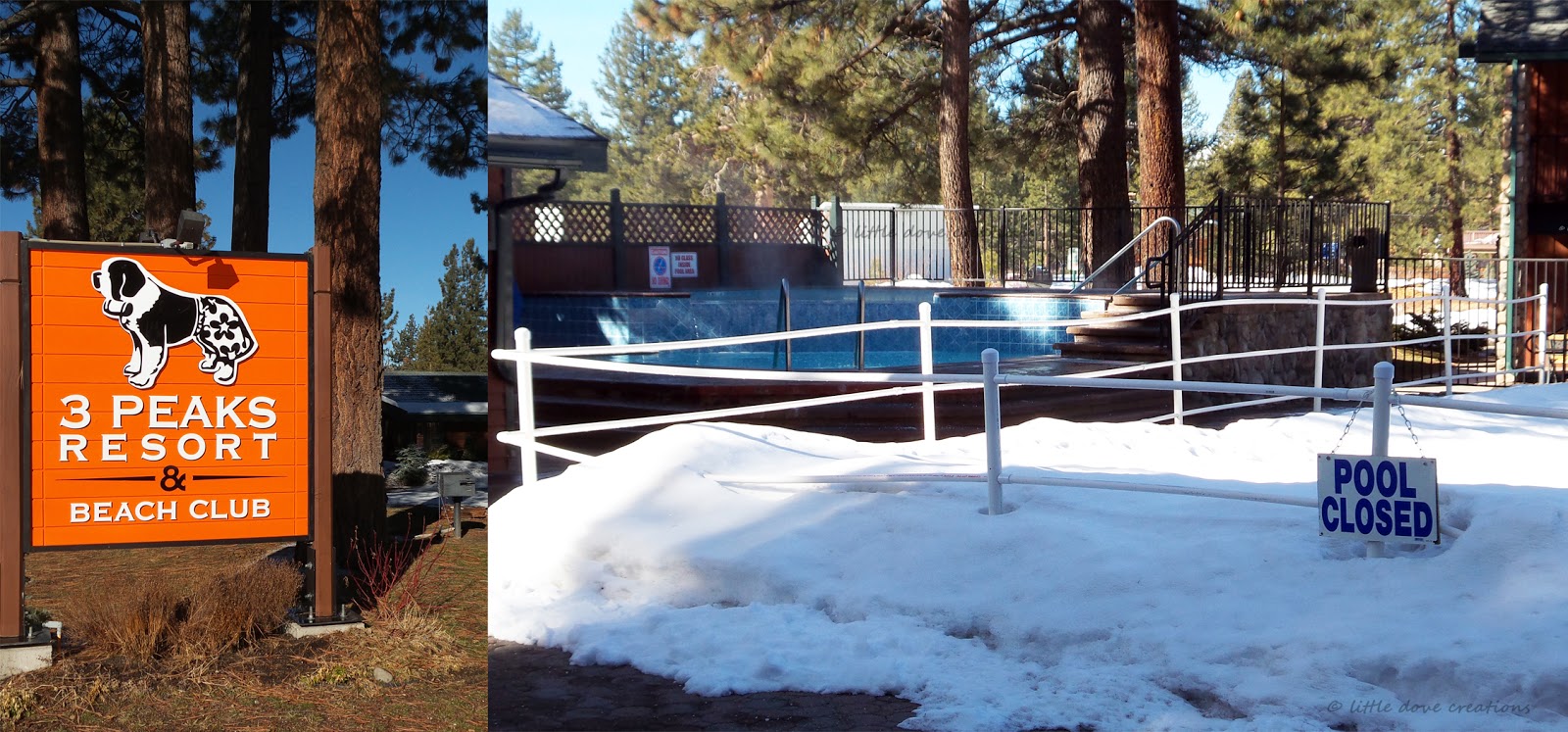 Little Dove Creations Tahoe Weekend Review Of 3 Peaks