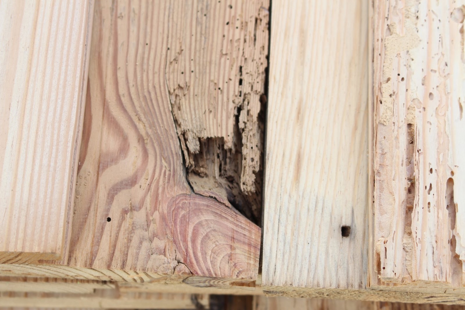 Altes Holz