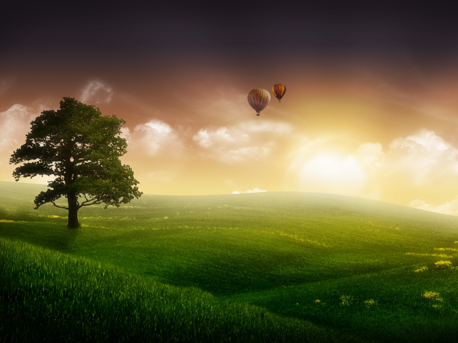 http://4.bp.blogspot.com/-IWJg1vuxYTU/TtxqCiN3qsI/AAAAAAAAA_Y/q9QddTyVfFo/s1600/tree-wallpaper-5-714674.jpg