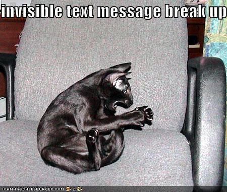Funny Picture Text Messages on The Eco Cat Lady Speaks Confessions Of A Fuddy Duddy