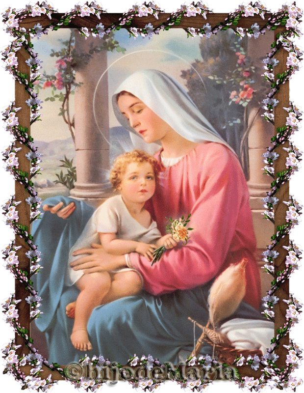 ¡Oh Maria sin pecado concebida! ¡Ruega por nosotros que recurrimos a ti!
