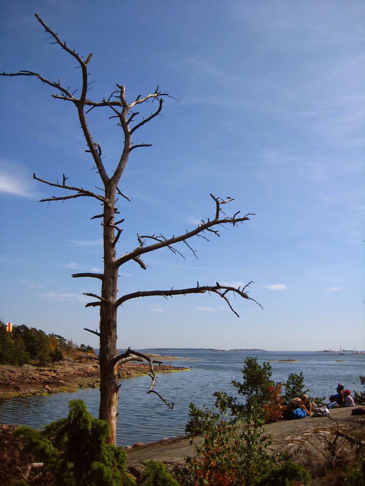 pihlajasaari meri sea saaristo