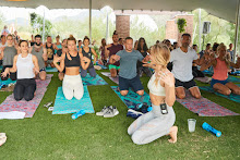Our meditation retreats
