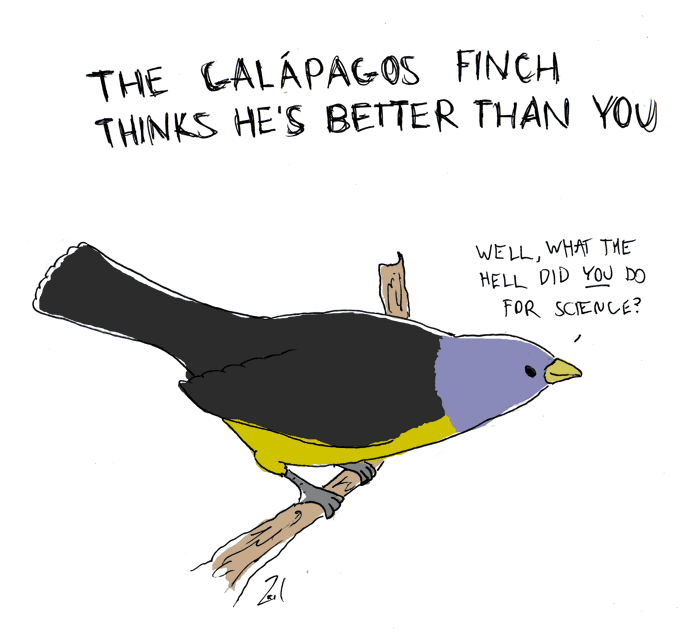 Darwin S Natural Selection Pokemon Darwin S Natural Selection Pokemon