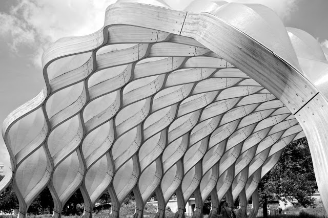 Tammy Sue Allen Photography - Favorite photos of 2013. Chicago. Tammy Sue Allen Photography - Favorite photos of 2013