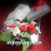 Hantaran Tema Merah