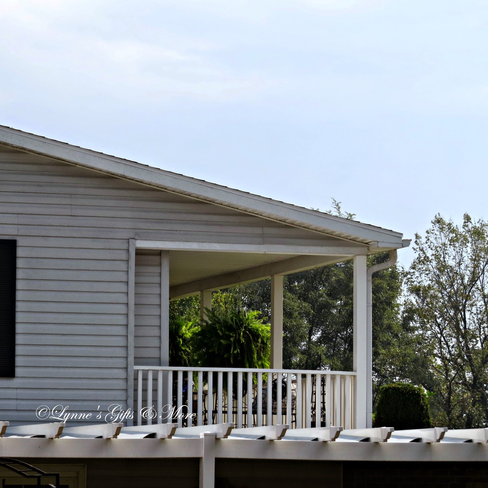 Lynne's Gifts From the Heart Late Fall Boston Ferns on the Front Porch