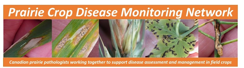 Prairie Crop Disease Monitoring Network