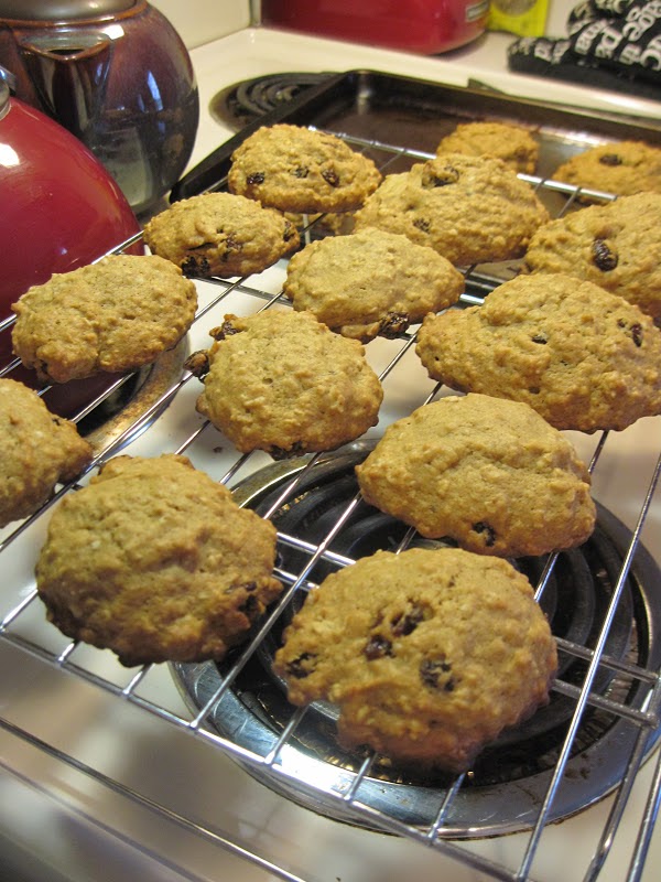 the joy{full} kitchen Oatmeal Pumpkin Raisin Cookies (NO EGGS)