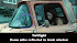 Imagenes de los errores en la pelicula Crepusculo (Twilight) Imagenes de los errores en la pelicula Crepusculo (Twilight)