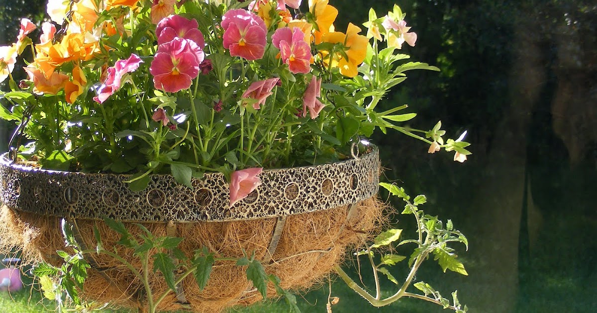 Everyday Art Hanging Garden