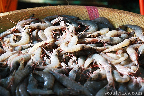 fish market korea 