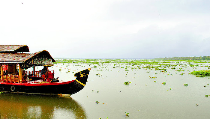 Kerala Gods on country ! Kumarakom Backwaters Beautiful Photos