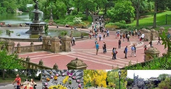 central park tours pedicab