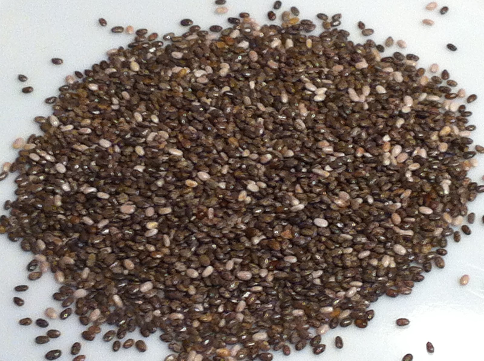 Home Cooked And Loved Wholemeal fruit cake (with chia seeds)