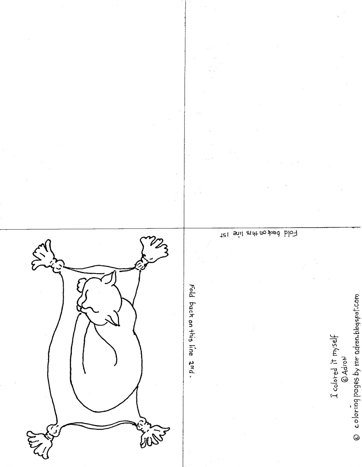 Coloring Pages for Kids by Mr. Adron: Printable, Color And Fold