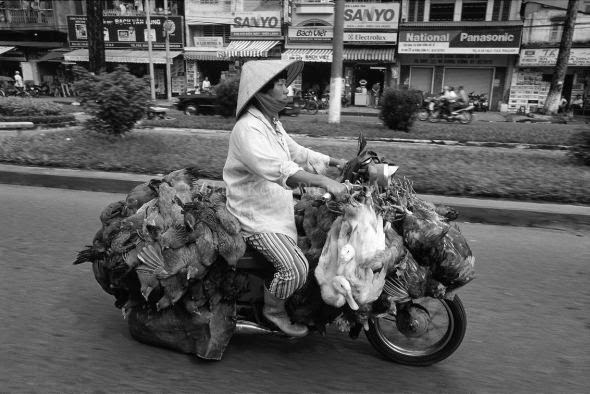 Hans Kemp fotografia motos lotadas cidades Vietnã bikes of burden Hans Kemp fotografia motos lotadas cidades Vietnã bikes of burden