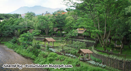 http://4.bp.blogspot.com/-I_osyYdp-a4/Tk0v23tZ7DI/AAAAAAAAEwc/DM3YQcWkqdw/s1600/4.jpg
