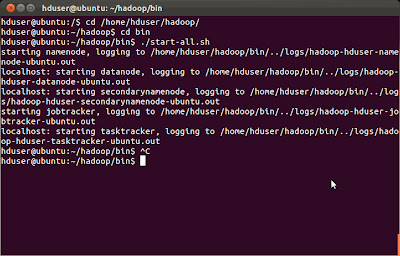 Starting Hadoop Services ./start-all.sh Starting Hadoop Services ./start-all.sh