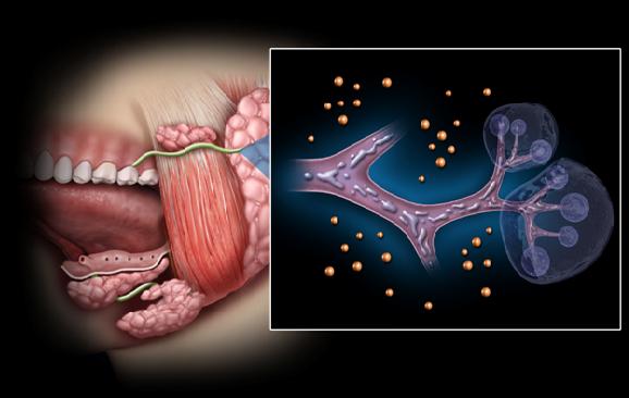 Dentistry lectures for MFDS/MJDF/NBDE/ORE Introduction to