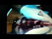 Woman dominated wrestling Guy splits face in half