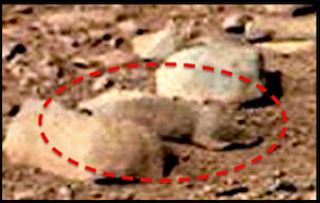 Squirrel Discovered In Curiosity Rover Photo, Mars, Dec 2012.