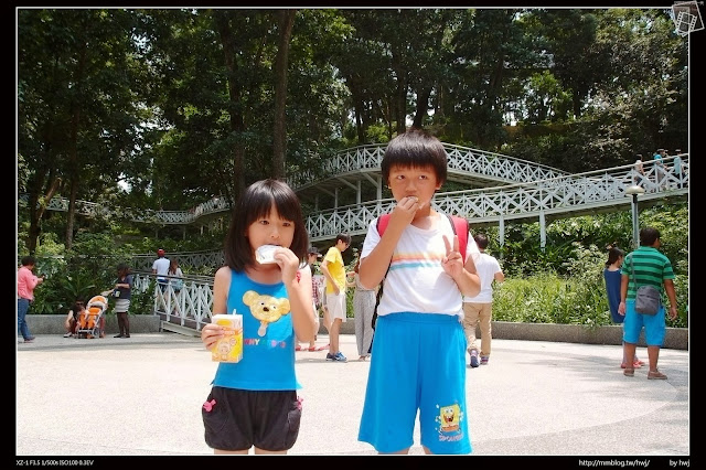 嘉義縣竹崎鄉親水公園萬竹博覽館-全新景點花仙子-天空步道啟用-千禧橋-弘景橋